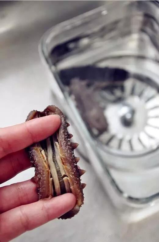 怎么挑发好的海参,怎样海参是好的海参