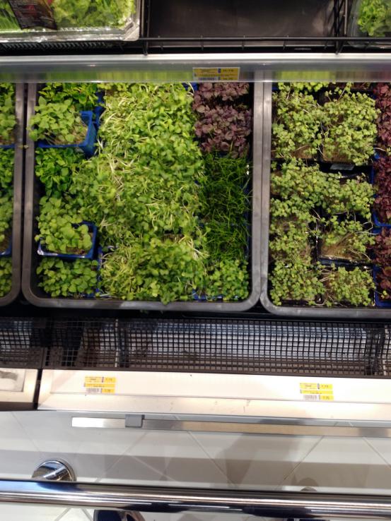 沙特的物价比迪拜高吗,沙特日常物价调整原因