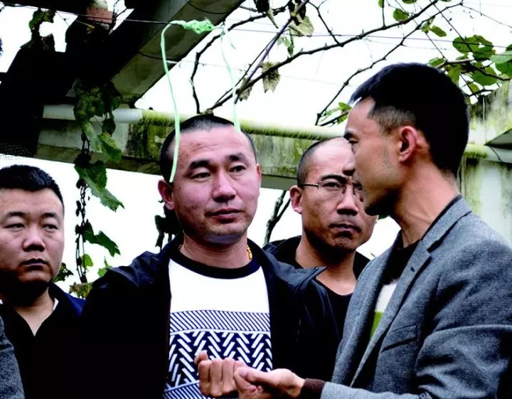 零距离感受农民勤劳,吉林省新农人视频