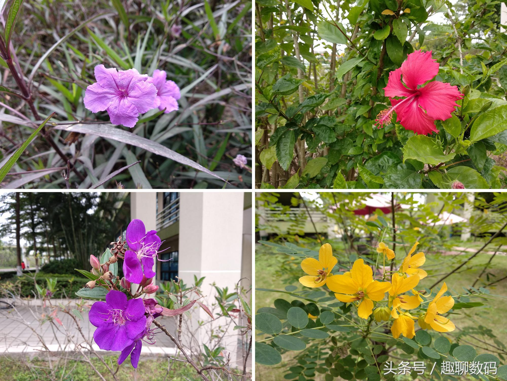 红米5plus深度测评,红米5plus测评日常