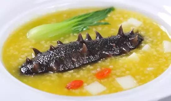 秋季滋补活海参,深海海参大乌参怎么煮食