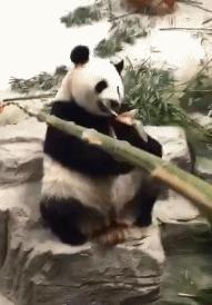 非主流杀马特流行时间,上海流行过杀马特吗