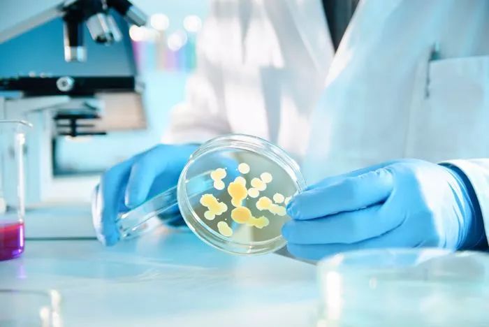 国内抗生素形势分析,全球医药研发现状趋势