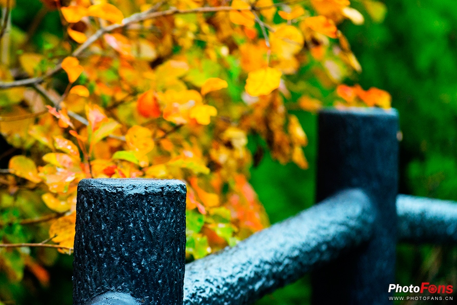 佳能eos800d摄影视频,佳能eos800d拍出来是黑白的