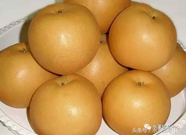 什么品种的梨子又大又甜水分又多,水果梨子产地