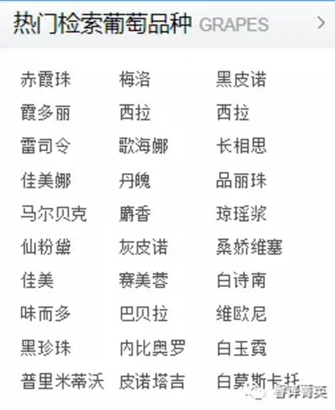 「睿译足迹」法兰西风情(二):法国美酒