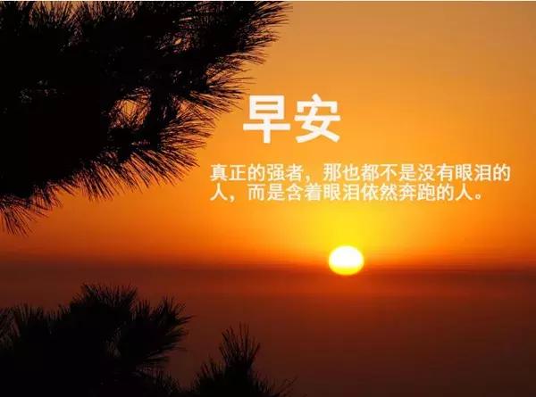 微商早安励志正能量词语,微商励志短句霸气语录