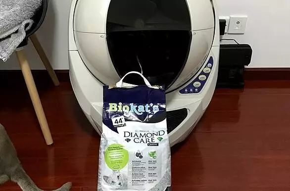 养猫如何不铲屎,什么猫不用铲屎呢