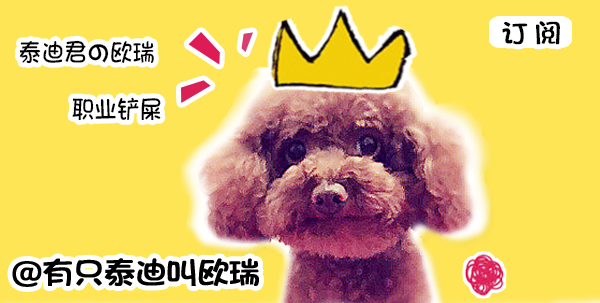 金毛好可恶视频,金毛非常好斗