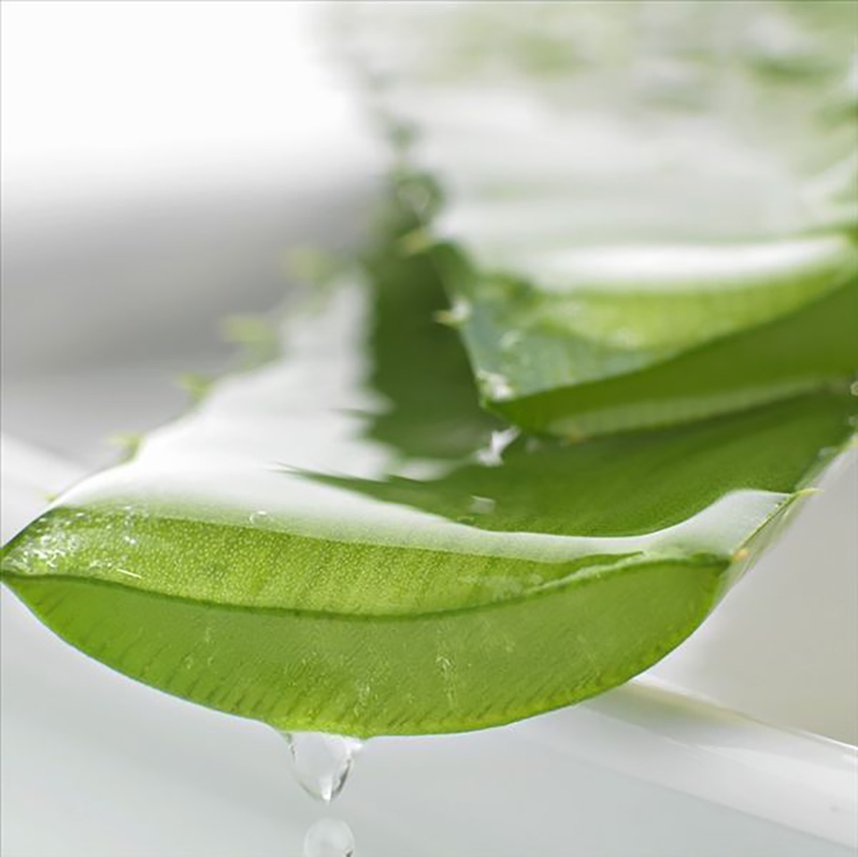 自然共和国芦荟胶怎么样?中国人“人气之王”火爆原因!