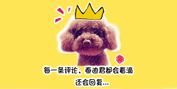 被小狗霸占了大床，狗狗一脸哀怨看着妈妈