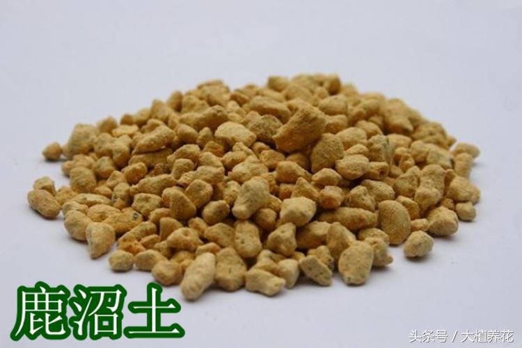 为何总种不好多肉?深扒多肉颗粒土那点事儿