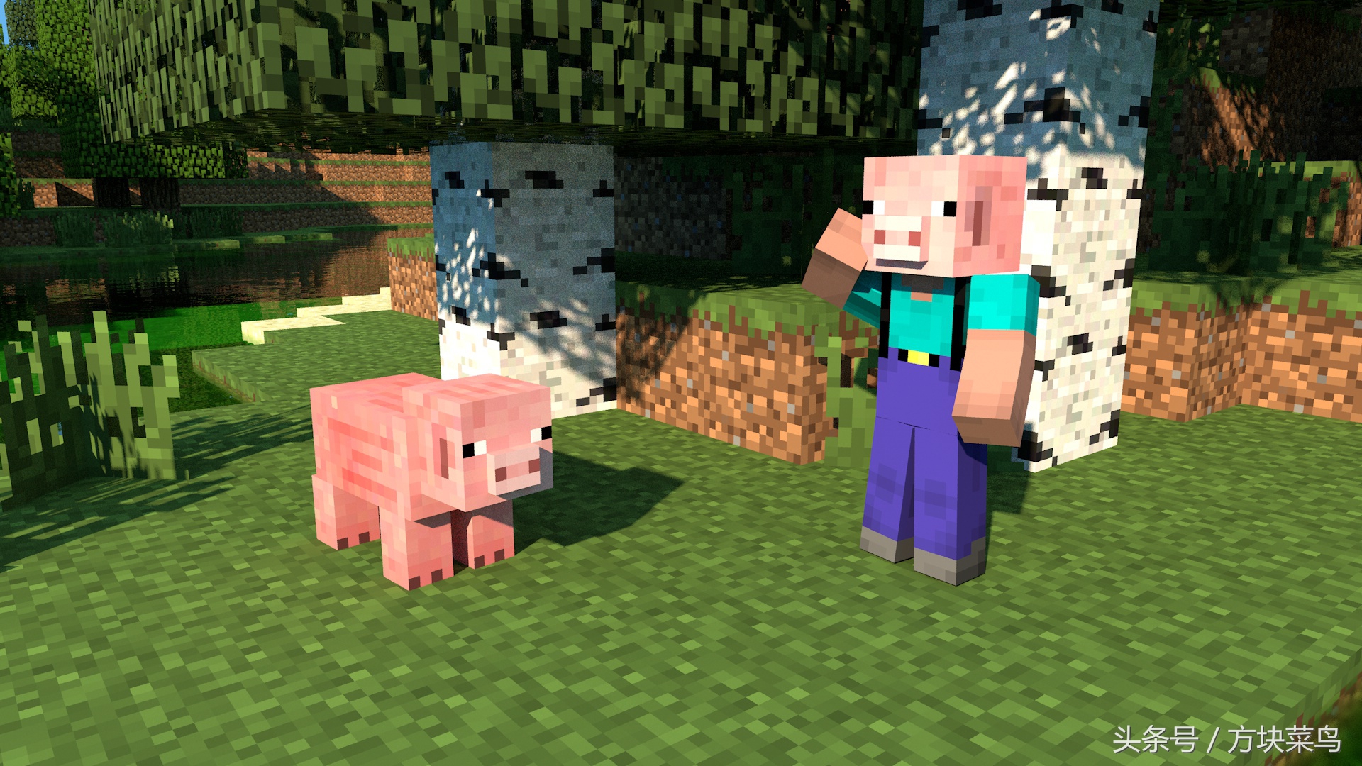 我的世界mc菜鸟模式,mc我的世界菜鸟生存攻略