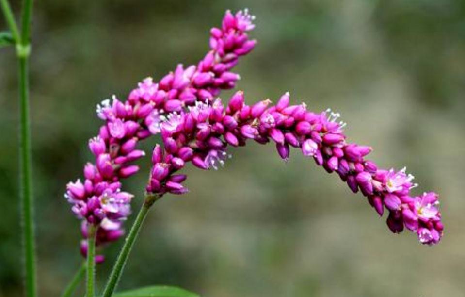 做人不能太窝囊废,做人太失败活得一塌糊涂