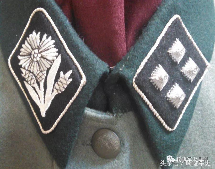 矢车菊凋谢在多瑙河畔：*党**卫军第22“玛丽亚·特蕾莎”骑兵师简史