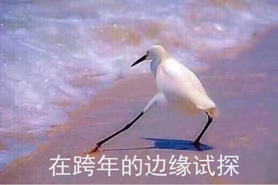 浣犳渶鏈熷緟鍝儴缁綔,浣犳渶鏈熷緟鍝儴澶т綔浜浉