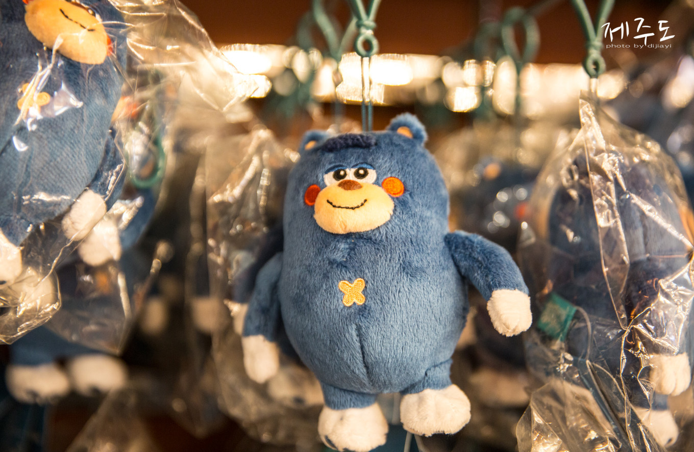 济州岛海边窗口打卡,韩国济州岛文艺浪漫打卡地