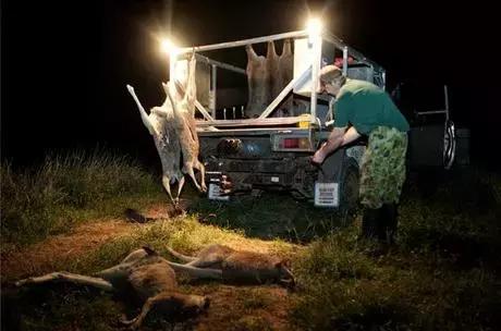 “丫”不仅是知名拳击手，还是个强x犯！