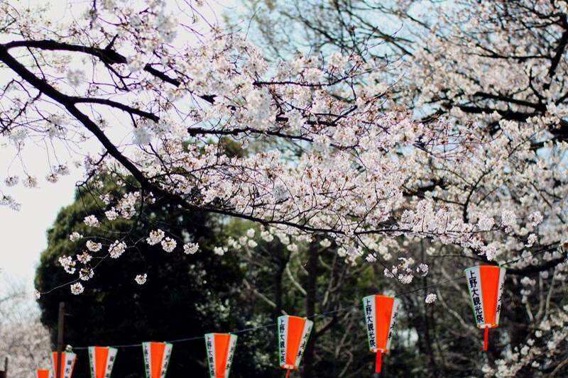 日本东京秋叶原区民宿,日本买房做民宿之大阪篇