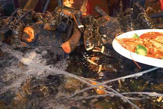 椰林6号海鲜码头，卖龙虾，这个价格很新鲜！