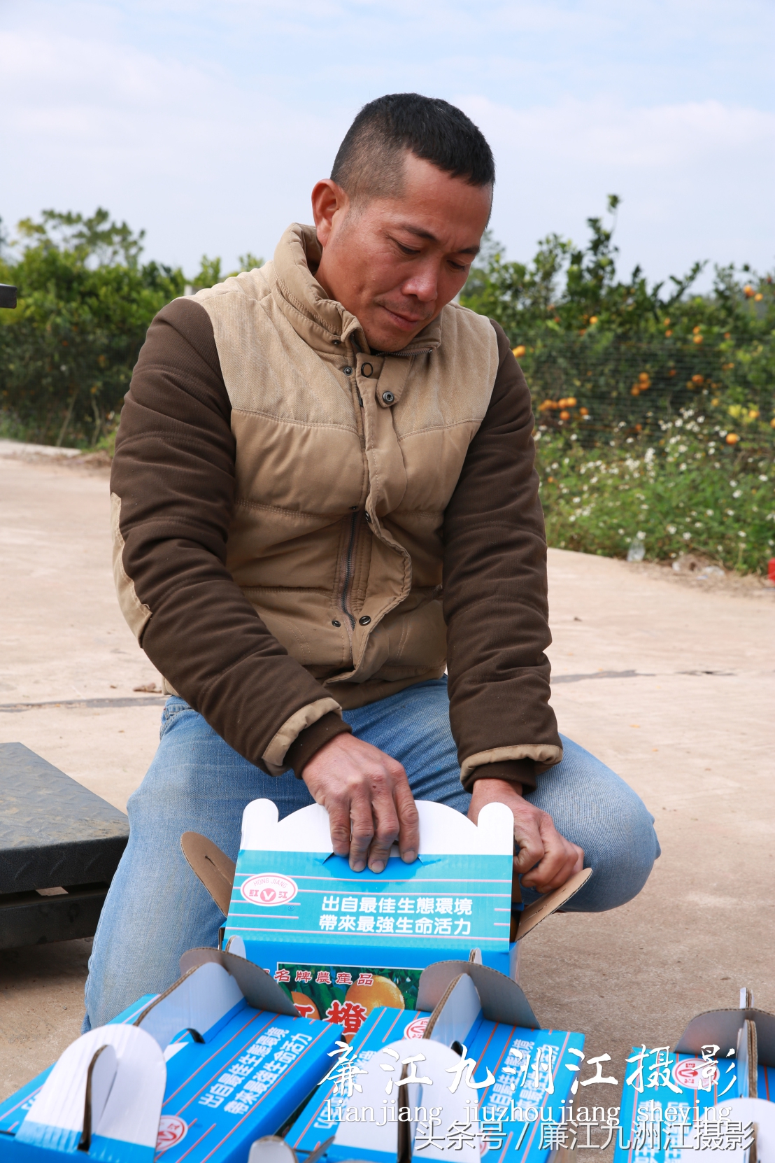 廉江摘橙子旅游,廉江摘橙子一日游攻略