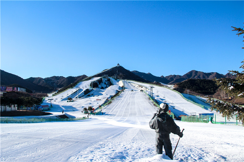 冰情雪趣绘画,冰情雪趣创意画