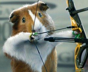 十二星座天蝎练田径行吗,十二星座适合当什么运动员