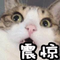 熊孩子把iphone整停用如何恢复,熊孩子不用密码却打开手机