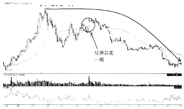 *家庄**不肯透露的操盘秘密陷阱，一旦看懂至少少走十年的弯路