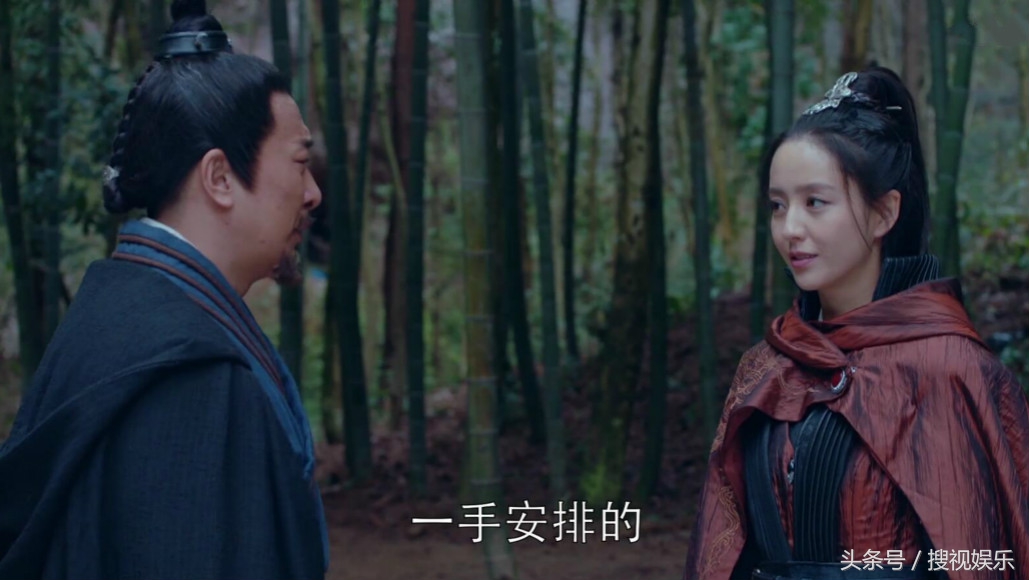 琅琊榜之风起长林林奚和平旌相认,琅琊榜之风起长林平旌与林奚结局