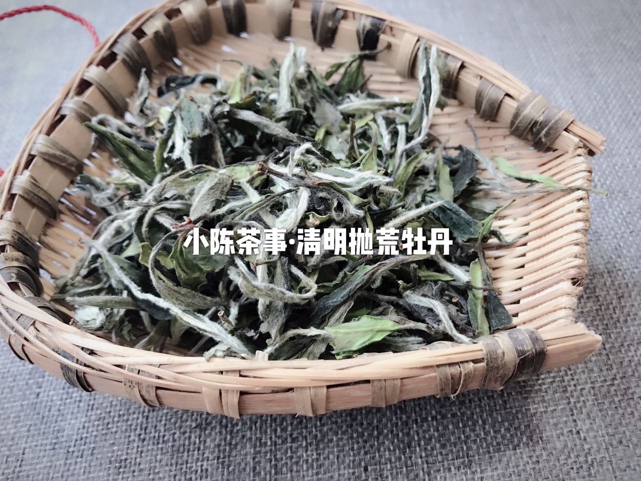 白茶知识100问,20秒了解白茶全集