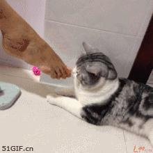 口味太重是什么感觉,口味越来越重吃什么都觉得很淡