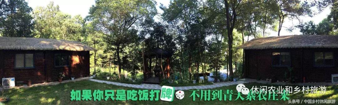 小农庄一年利润多少,二十亩地一年收入千万的小农庄