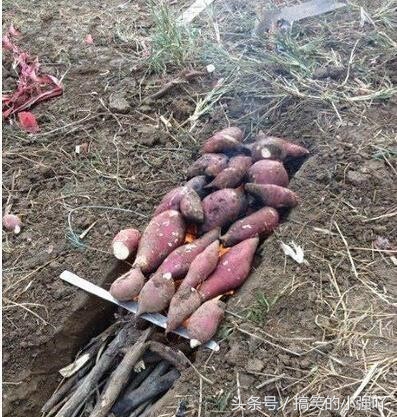 看样子真的拔不出来了，赶紧求助吧，晚了来不及了