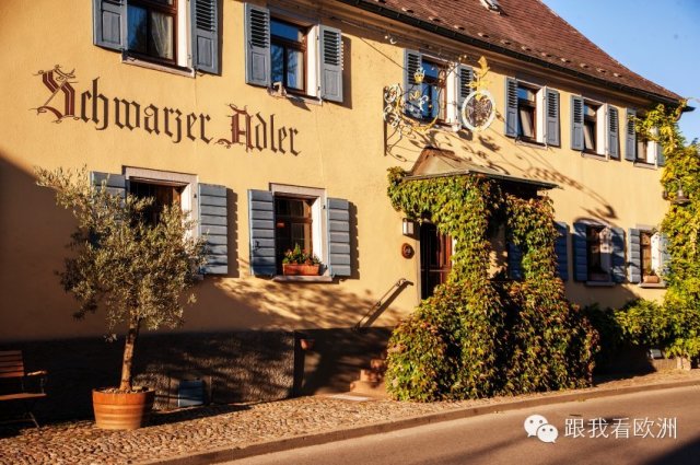 欧洲四大酒庄,世界十大奢华酒庄