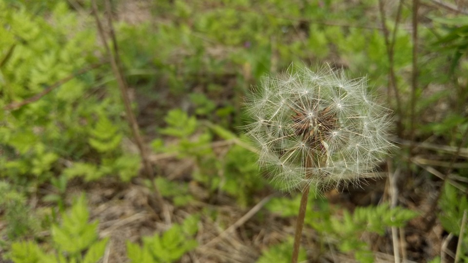 oppor9优点和缺点是什么,oppor9详细评测