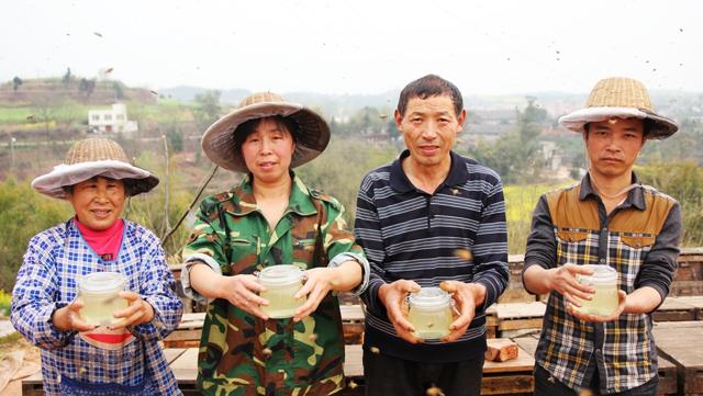 为什么正宗的好蜂蜜这么难卖,超市买的蜂蜜为什么不结晶