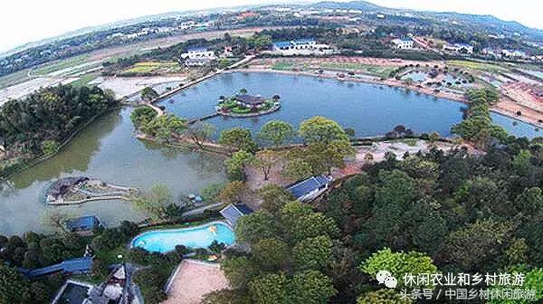 小农庄一年利润多少,二十亩地一年收入千万的小农庄