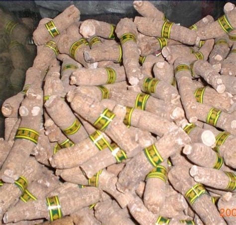 吃西洋参片的禁忌,桂圆蒸西洋参禁忌