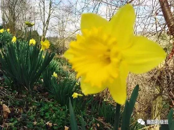 手机摄影运镜技巧教程大全,小米手机摄影技巧教学