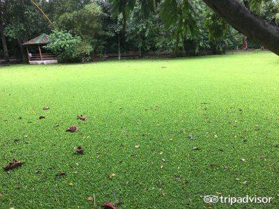 巴西巴西利亚旅游攻略,巴西游记旅游攻略