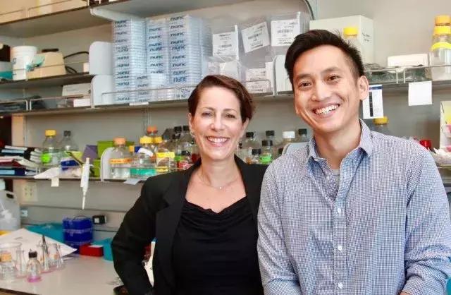 car-t治疗实体瘤进展,car-t治疗实体肿瘤成功案例