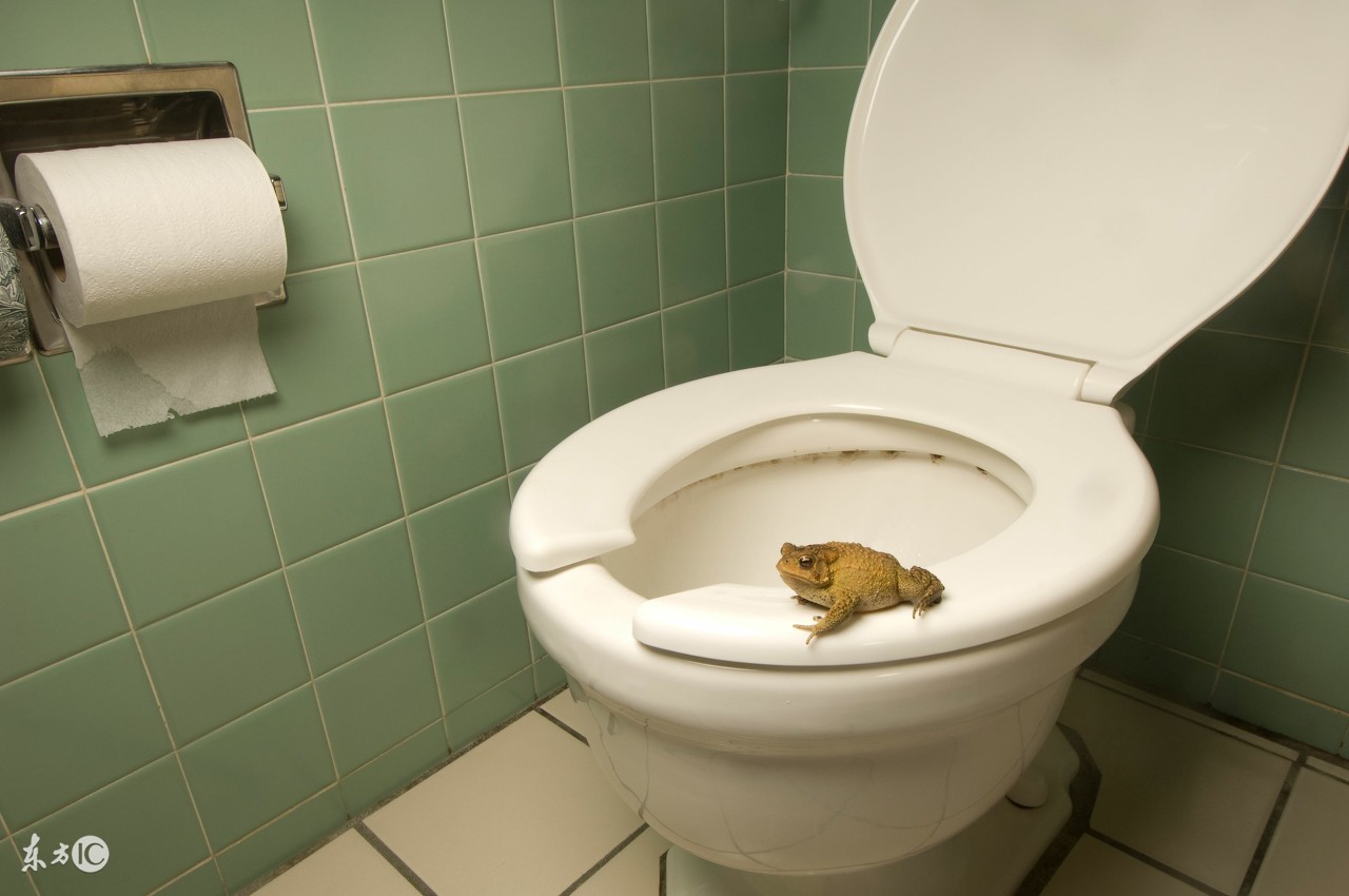 这些冷知识最好早点了解,一分钟了解10个冷知识