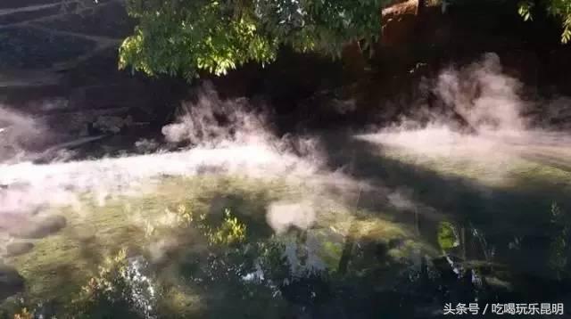 这两天德宏拽伤了，和全世界对话都是：我20度！