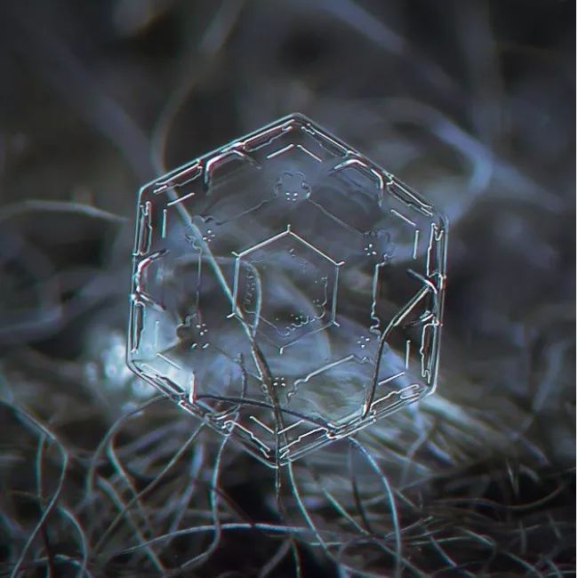 历时8年用微距镜头拍摄的雪花,超级微距拍摄雪花