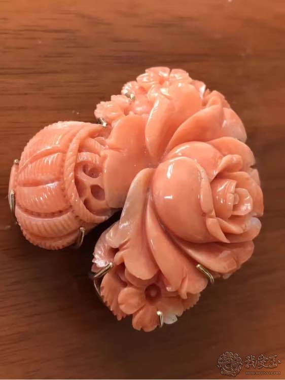 什么样的珊瑚是最好的,最好看的十种珊瑚