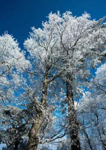 冬季华山好玩么,华山冬季爬山时间