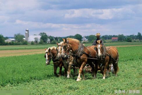 10种赚钱最简单的方法,农民在家创业什么项目最赚钱