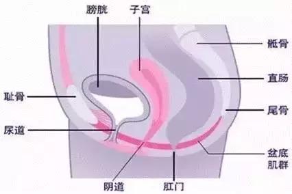 哪些人不适合做产后骨盆修复,不做骨盆修复自己能恢复好吗