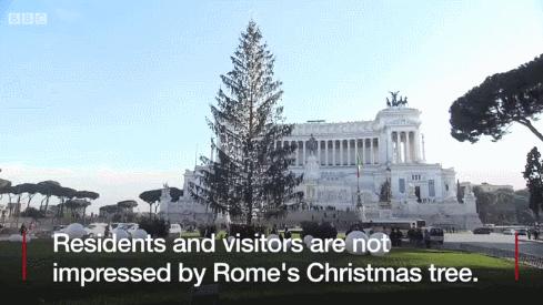 意大利最好的圣诞树,罗马圣诞树